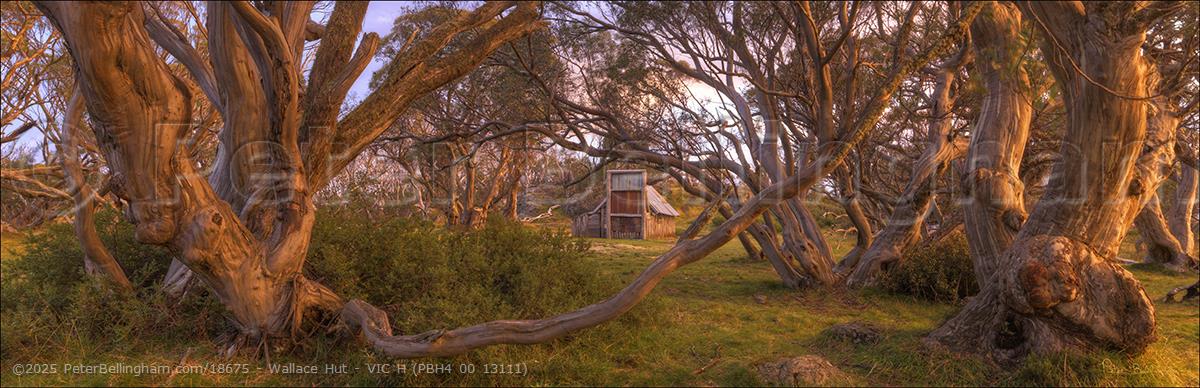 Peter Bellingham Photography Wallace Hut - VIC H (PBH4 00 13111)